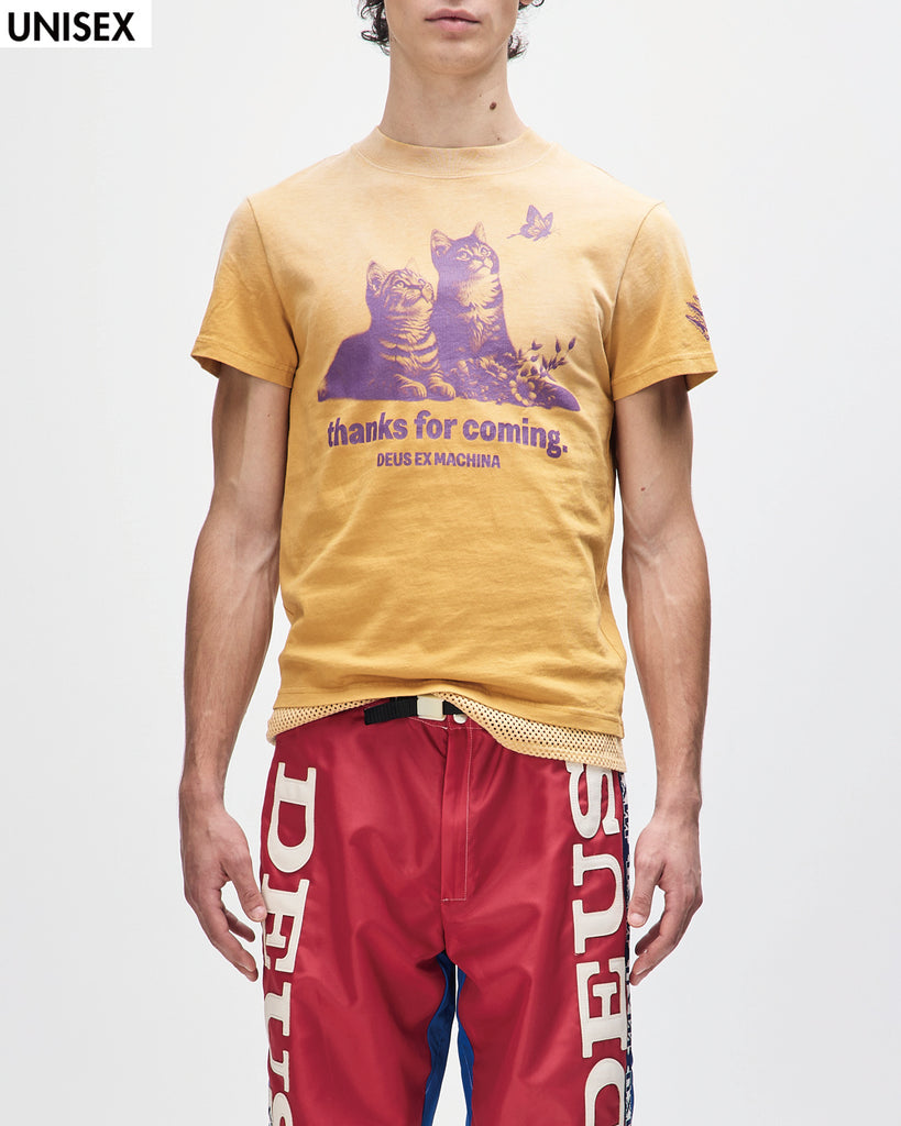 - STONE  Tシャツ org.jpg